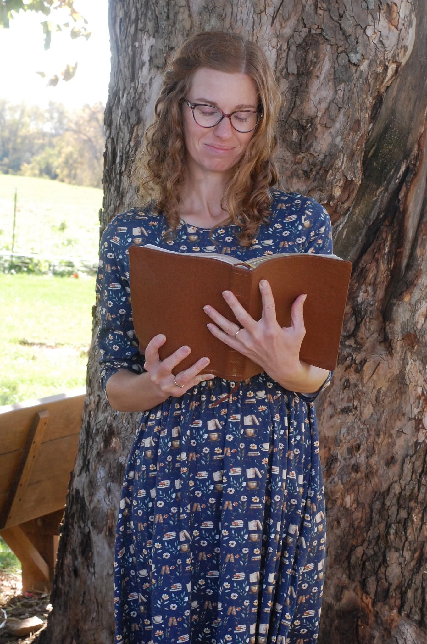 Blue Cotton "Novella" Book Print Homestead Nursing Friendly Dress