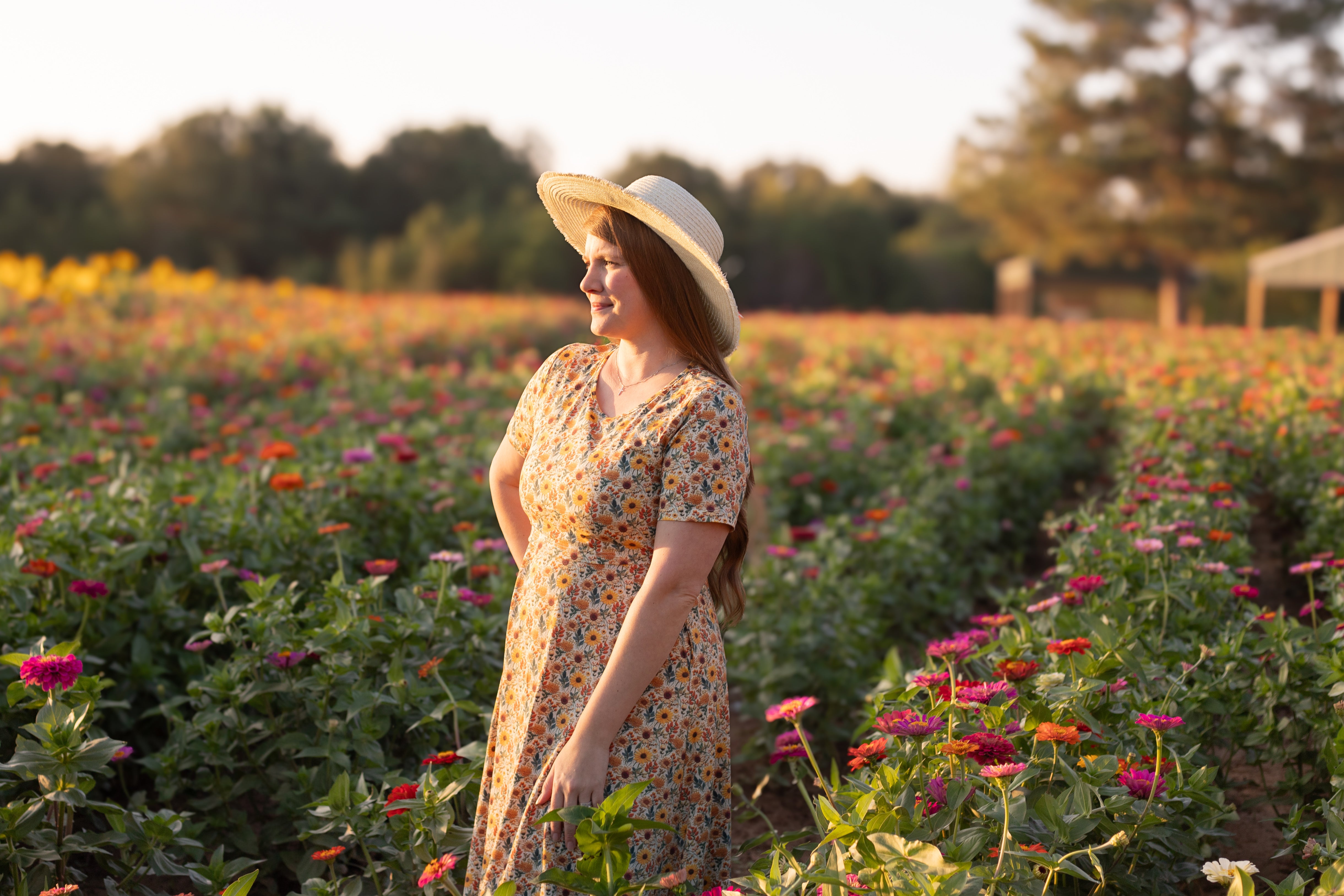 Cotton Sunflower  Floral Nursing Friendly Twirl Dress
